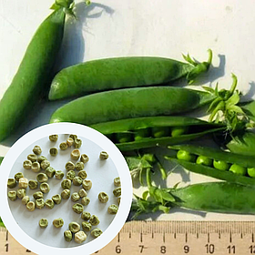 Горох Шість тижнів насіння 50 г (прибл 360 шт) ультраранній солодкий