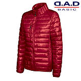 Сучасна жіноча приталена куртка з легким наповнювачем, фото 2