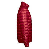 Сучасна жіноча приталена куртка з легким наповнювачем, фото 5