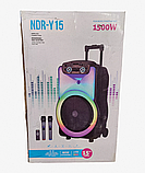 Акустична Bluetooth колонка NDR-Y15 40Вт 15 дюймів з мікрофоном, фото 7