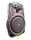 Акустична Bluetooth колонка NDR-Y15 40Вт 15 дюймів з мікрофоном, фото 8