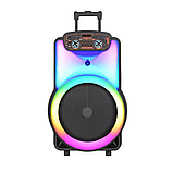 Акустична Bluetooth колонка NDR-Y15 40Вт 15 дюймів з мікрофоном, фото 3