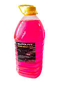 Омивач скла літній (бубль гум) AUTOLIVE 5 л. 22/24