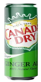 Canada Dry 330ml 1/24, фото 1
