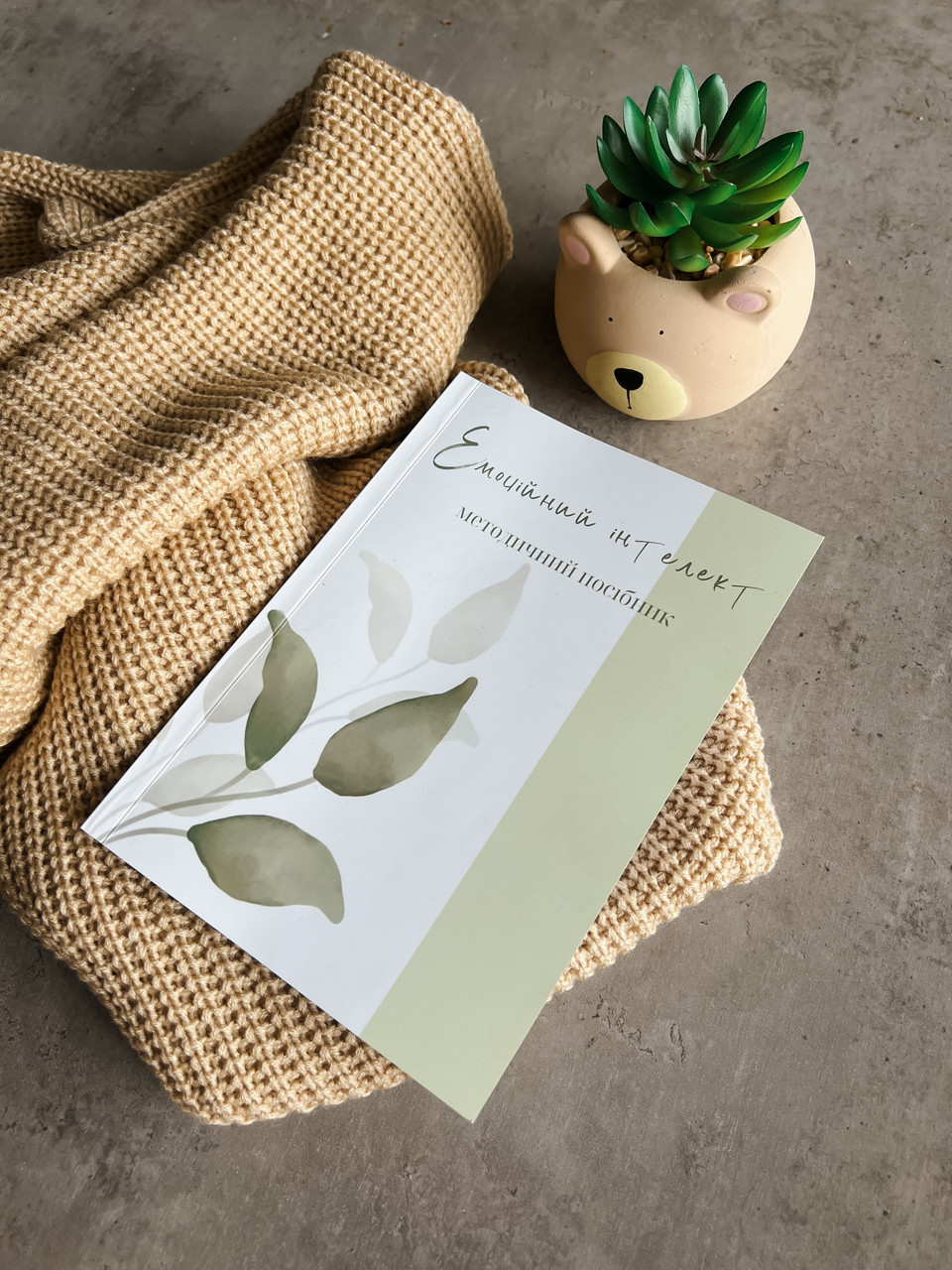 Книга "Емоційний інтелект" Методичний посібник Савенко Поліна