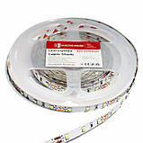 LED стрічка  5Вт 12 В 2835 60 діодів 110Лм/Вт холодний білий 6500К (серія Shade), гарантія 2 роки, фото 4