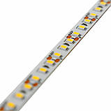LED стрічка  10Вт 12 В 2835 120 діодів 110Лм/Вт холодний білий 6500К (серія Shade), гарантія 2 роки, фото 5