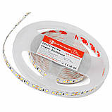 LED стрічка  13,5Вт 12 В 2835 120 діодів 150Лм/Вт нейтральний білий 4500K (серія Architect), гарантія 3 роки, фото 4
