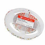 LED стрічка  13,5Вт 12 В 2835 120 діодів 150Лм/Вт холодний білий 6500К (серія Architect), гарантія 3 роки, фото 3
