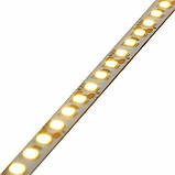 LED стрічка  13,5Вт 12 В 2835 120 діодів 150Лм/Вт холодний білий 6500К (серія Architect), гарантія 3 роки, фото 5