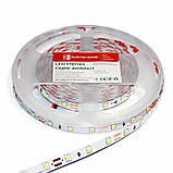 LED стрічка  7Вт 24 В 2835 60 діодів 150Лм/Вт теплий білий 2800К (серія Architect), гарантія 3 роки, фото 3