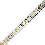 LED стрічка  13,5Вт 24 В 2835 120 діодів 150Лм/Вт теплий білий 2800К (серія Architect), гарантія 3 роки, фото 4