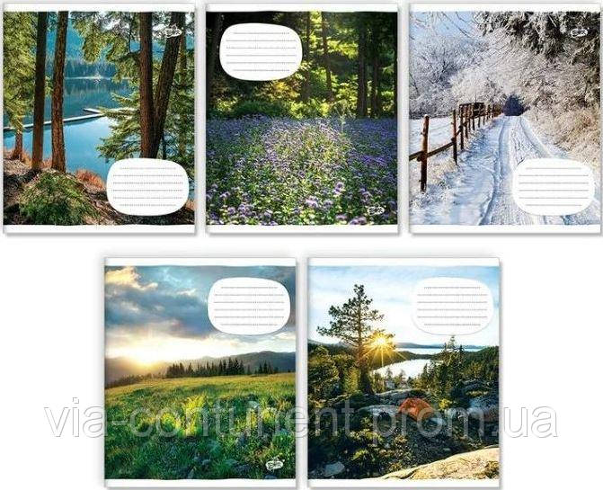 Тетрадь Бриск ТВ-107 12 листов в косую линию - фото 1 - id-p2337154108