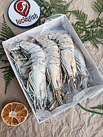 Чорна креветка тигрова розмір 6-8 (на 1 кг 6-8шт)