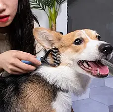 Двосторонній гребінець для вичісування шерсті кішок і собак AND217, фото 2