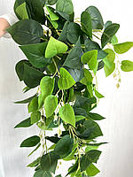 Штучний ампельний сциндапсус ( Premium, 1:1, латекс), фото 5