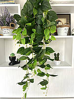 Штучний ампельний сциндапсус ( Premium, 1:1, латекс), фото 2
