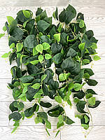 Штучний ампельний сциндапсус ( Premium, 1:1, латекс), фото 8