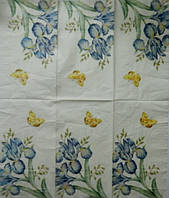 Серветка для декупажу ЦИ-07, 33х40см