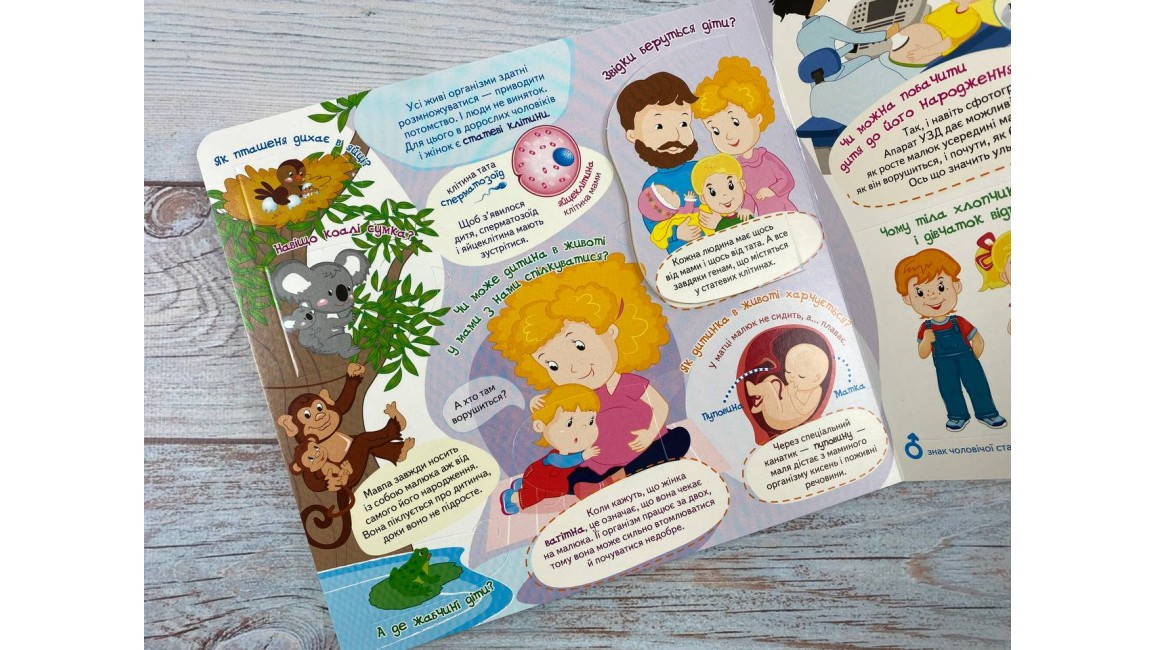 Product image preview