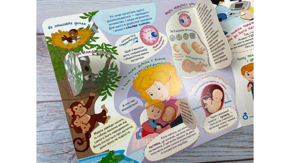 Product image preview