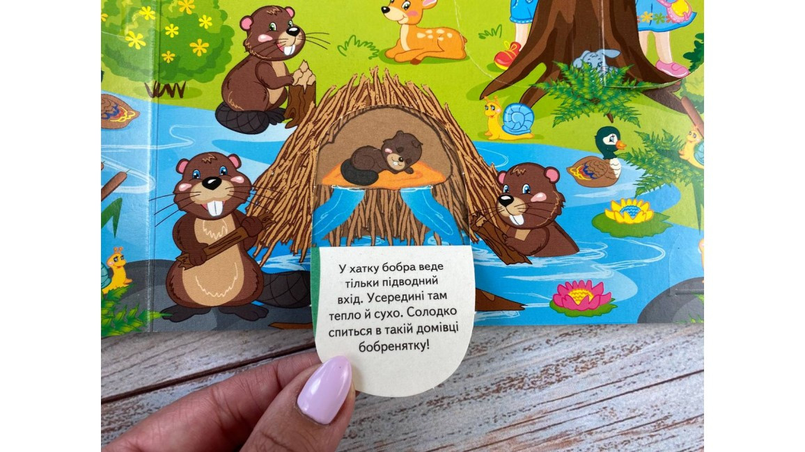 Product image preview