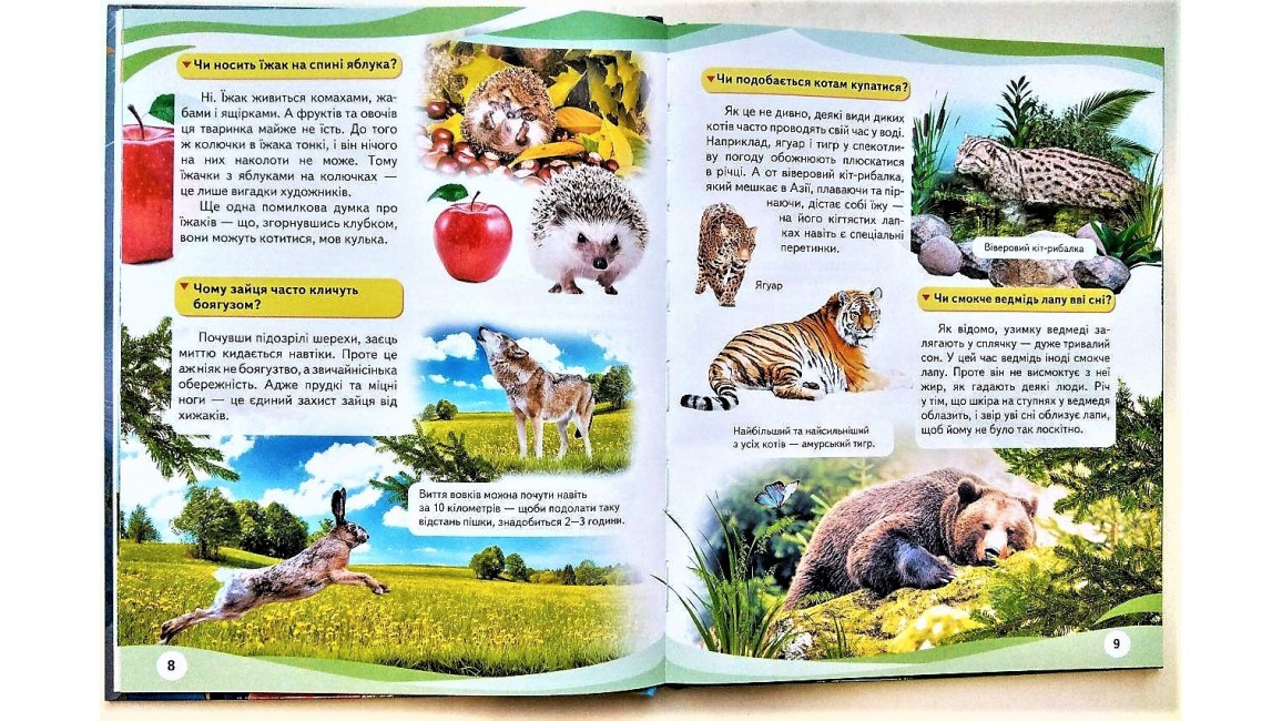 Product image preview