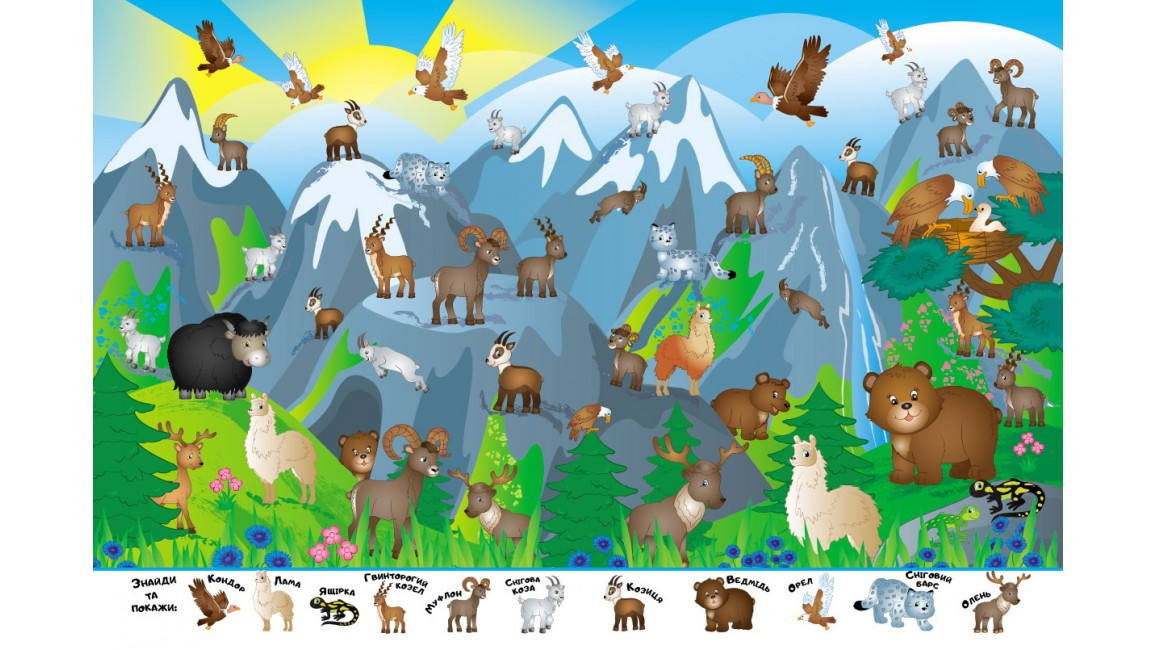 Product image preview