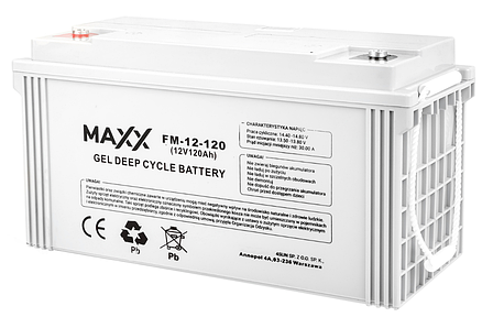 Акумулятор гелевий 4SUN MAXX GEL DEEP CYCLE 120Ah 12V (12-FM-120), фото 1