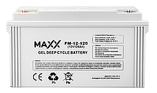 Акумулятор гелевий 4SUN MAXX GEL DEEP CYCLE 120Ah 12V (12-FM-120), фото 6