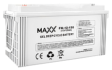 Акумулятор гелевий 4SUN MAXX GEL DEEP CYCLE 120Ah 12V (12-FM-120), фото 3
