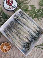 Чорна креветка тигрова розмір 8-12 (на 1 кг 8-12шт)