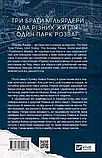 Дрібним шрифтом Мільярдери з Дрімленду Книга 1 - Лорен Ашер, фото 3