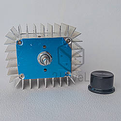 Блок керування 5 кВт Потужний симісторний регулятор напруги 5000 Регулятор обертів плата для двигуна