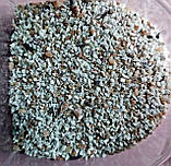 Гравій для дрібних птахів 8in1 Bird Gravel Small birds, фото 3