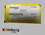 Зчеплення HYUNDAI ERA 1.4-1.6-ADMIRE-ACCENT 1,6L (кошик, диск, підш.) [Kolnberg Туреччина] 425 215 104, фото 2