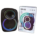 Акустична Bluetooth колонка NDR-A55 15-дюймова з бездротовим мікрофоном, фото 3