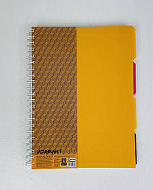 Зошит З роздільниками А4 На спіралі 120 арк. У клітку Пластикова обкл. (О20843-05) Optima