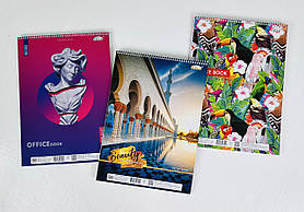 Зошит А4 На спіралі 96 арк. Клітина СБВ-19 4816Пр Brisk