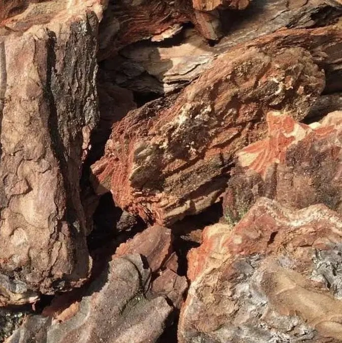 Кора соснова велика декоративна фракція 6-10 см 50 л, фото 1