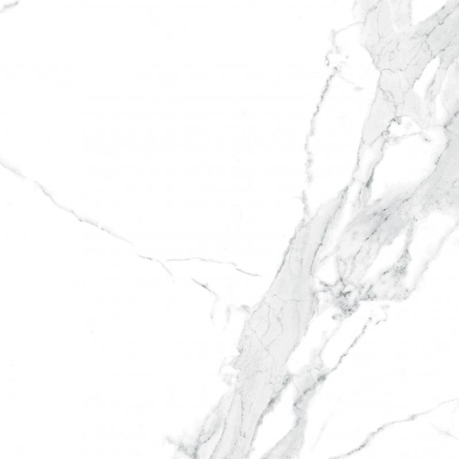 Плитка Teo Ceramics Avenzo Silver F P R Satin 600*600