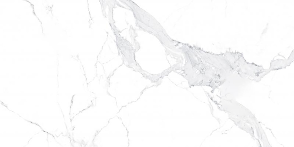 Плитка Teo Ceramics Avenzo Silver F P R Satin 600*1200