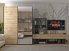 Шафа-купе двохдверна Doros G-Caiser 160х60х240 см Графіт/Дуб евок/1 Дзеркало (DRS-011038)