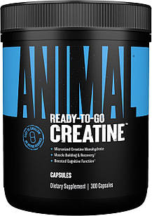 Animal Micronized Creatine Monohydrate 300 Caps