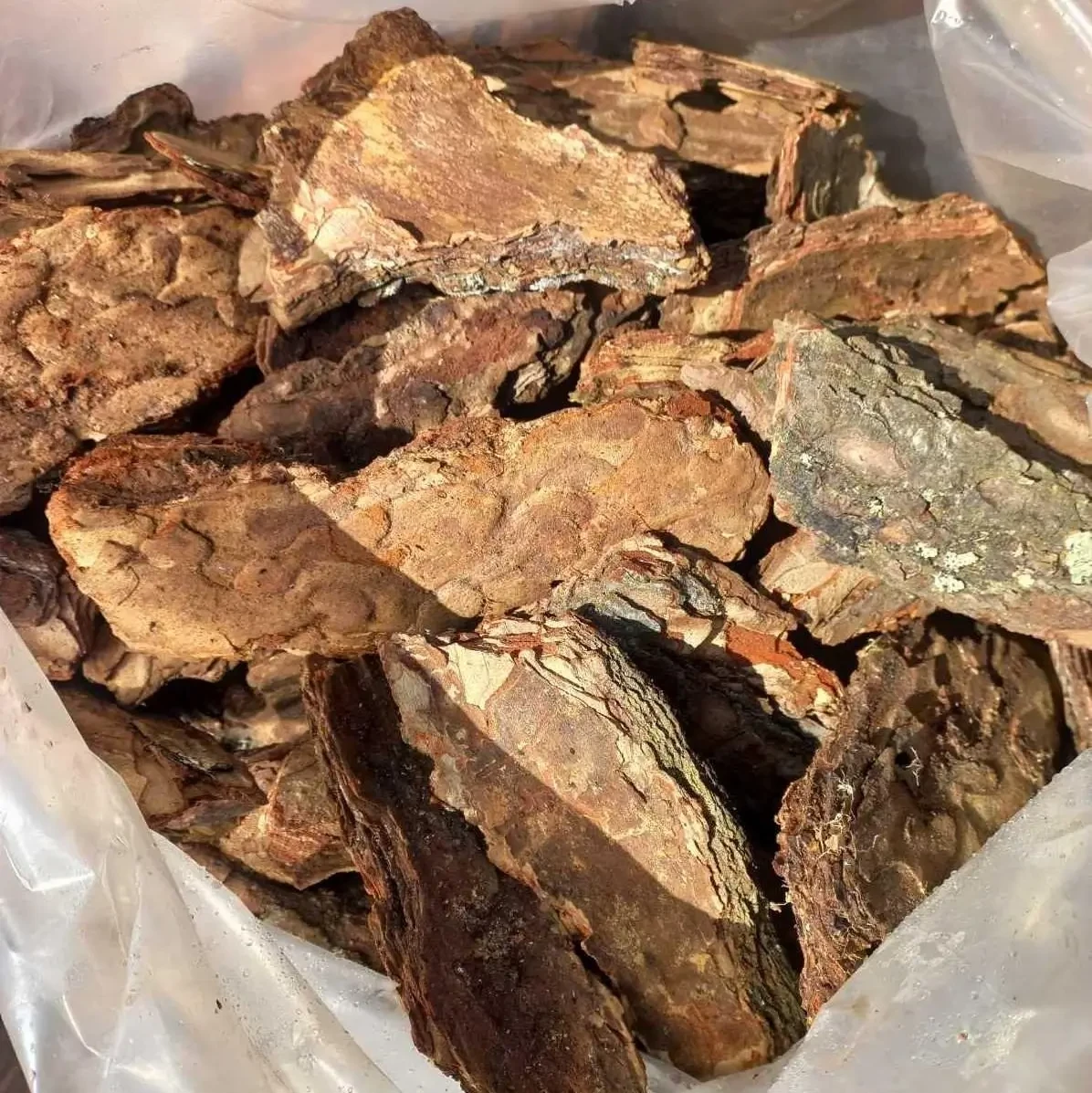 Кора соснова велика декоративна фракція 6-10 см 50 л (ПЕРЕДОПЛАТА 20%), фото 1