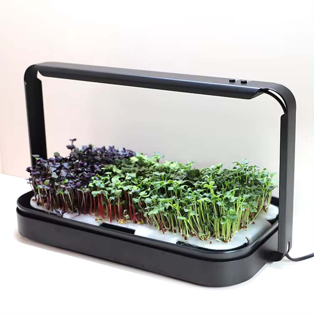 Набір для вирощування мікрозелені (microgreen)