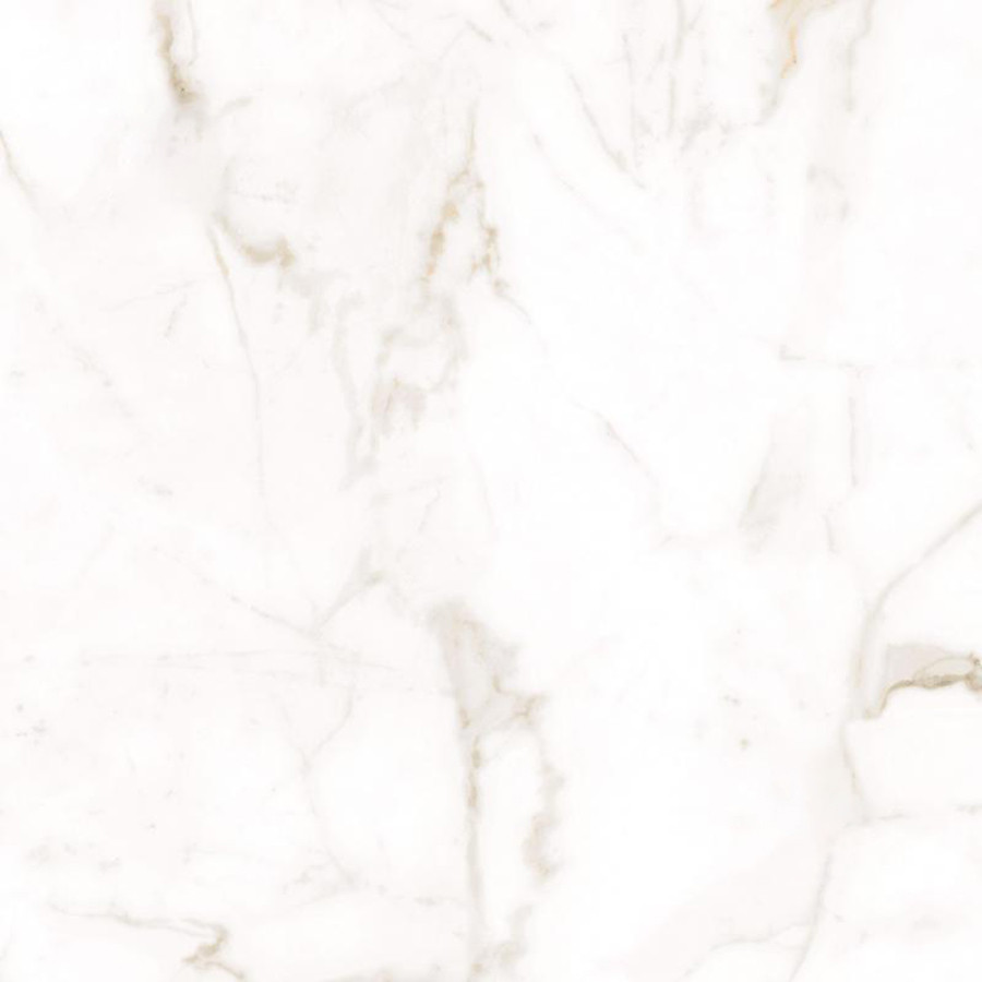 Плитка Teo Ceramics Alcora Gold FP R Mat 600*600