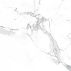 Плитка Teo Ceramics Alcora Grey F P R Full Lappato 600*600