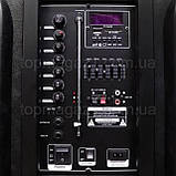 Переносна акустична колонка, 2500W X-BASS TWS/Bluetooth/USB/FM колонка на акумуляторі з двома мікрофонами, фото 5