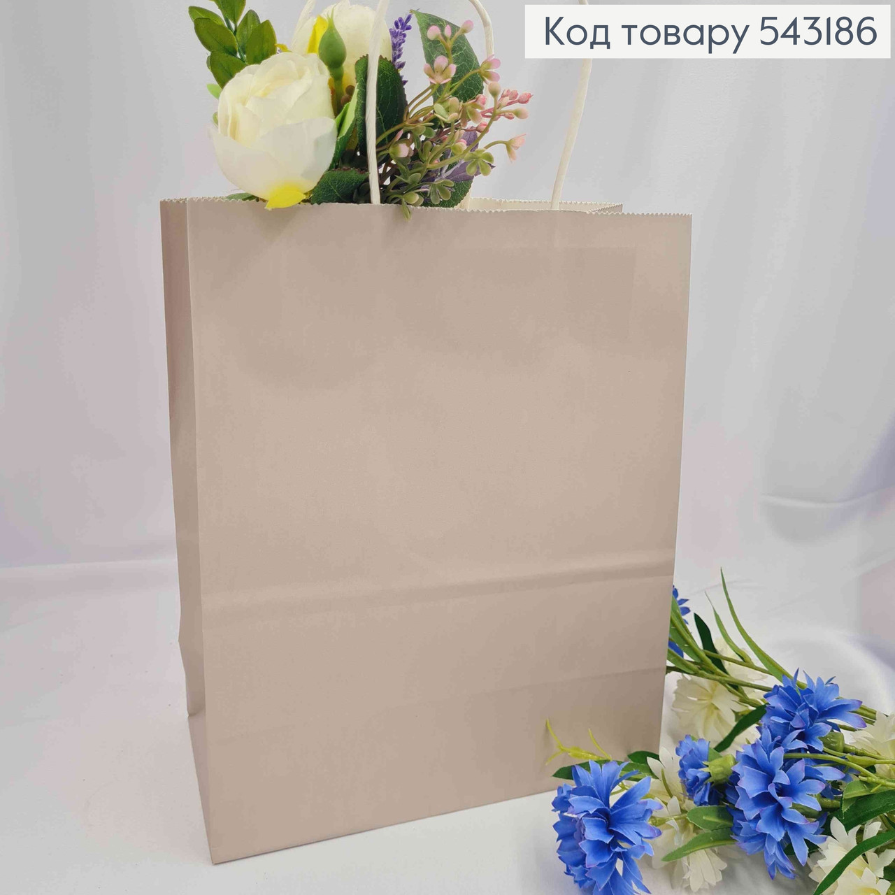 Пакет крафтовий, 22*27*11см, Сірий 543186